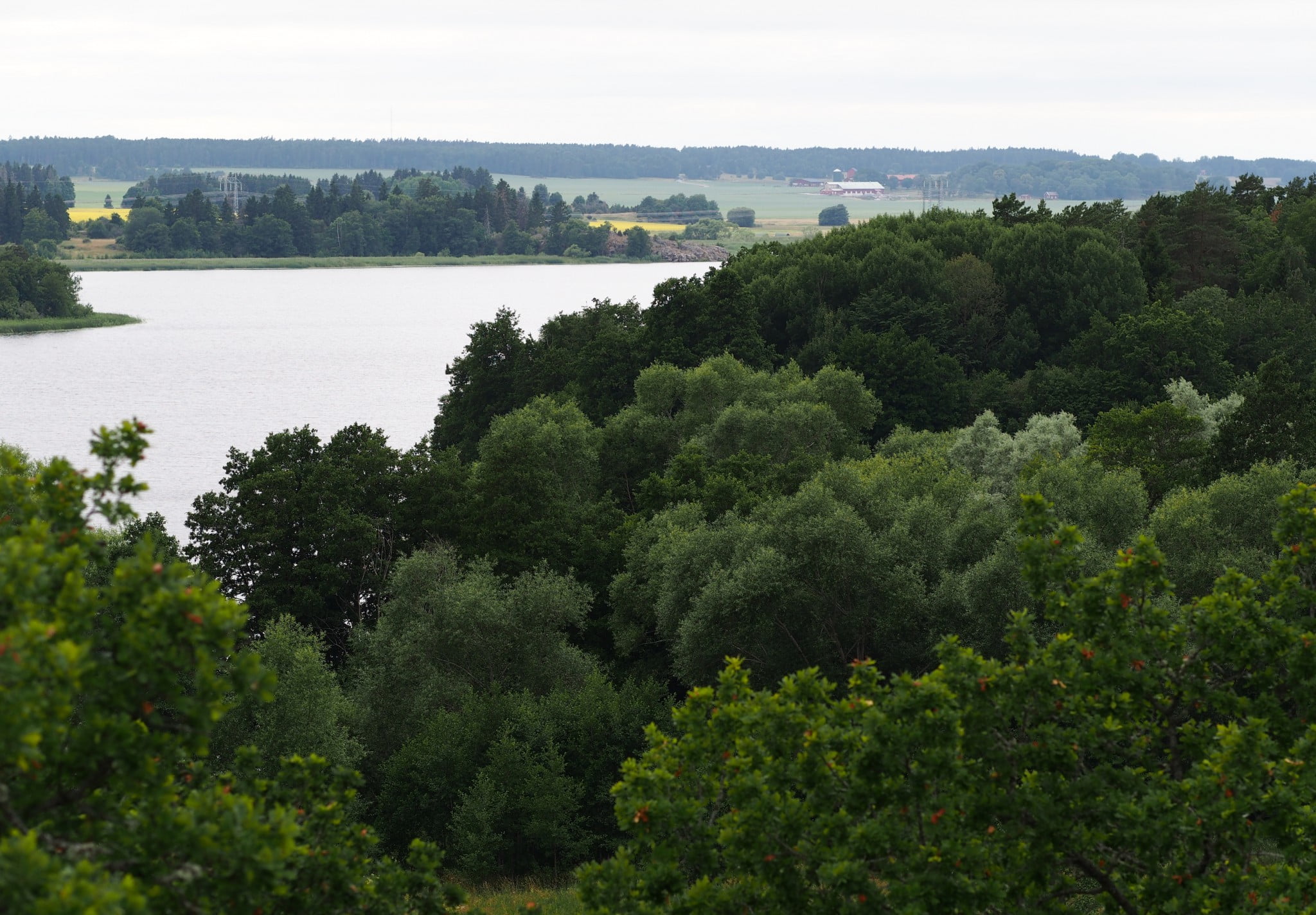 Ljudguide: Alstabadet och Uvberget