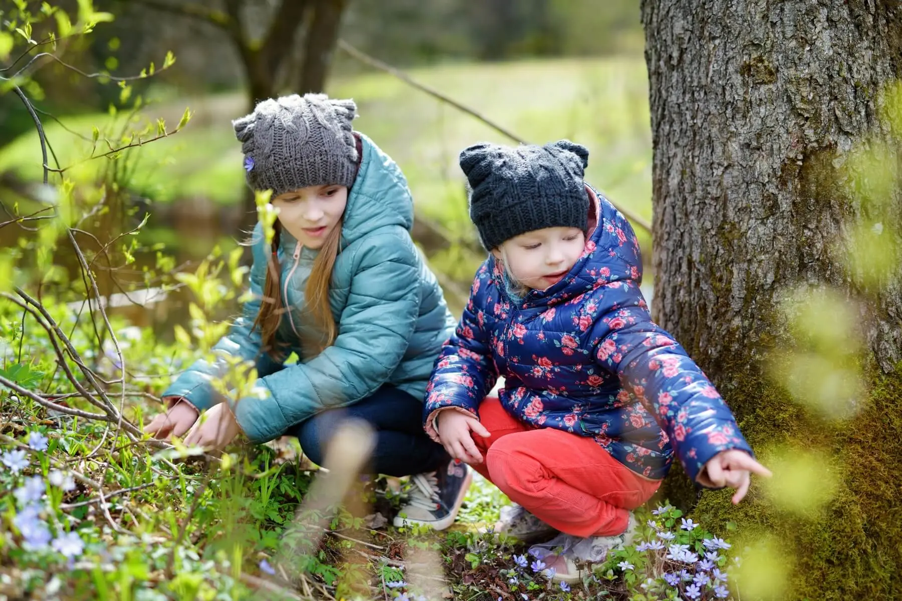 Dräggsjön runt