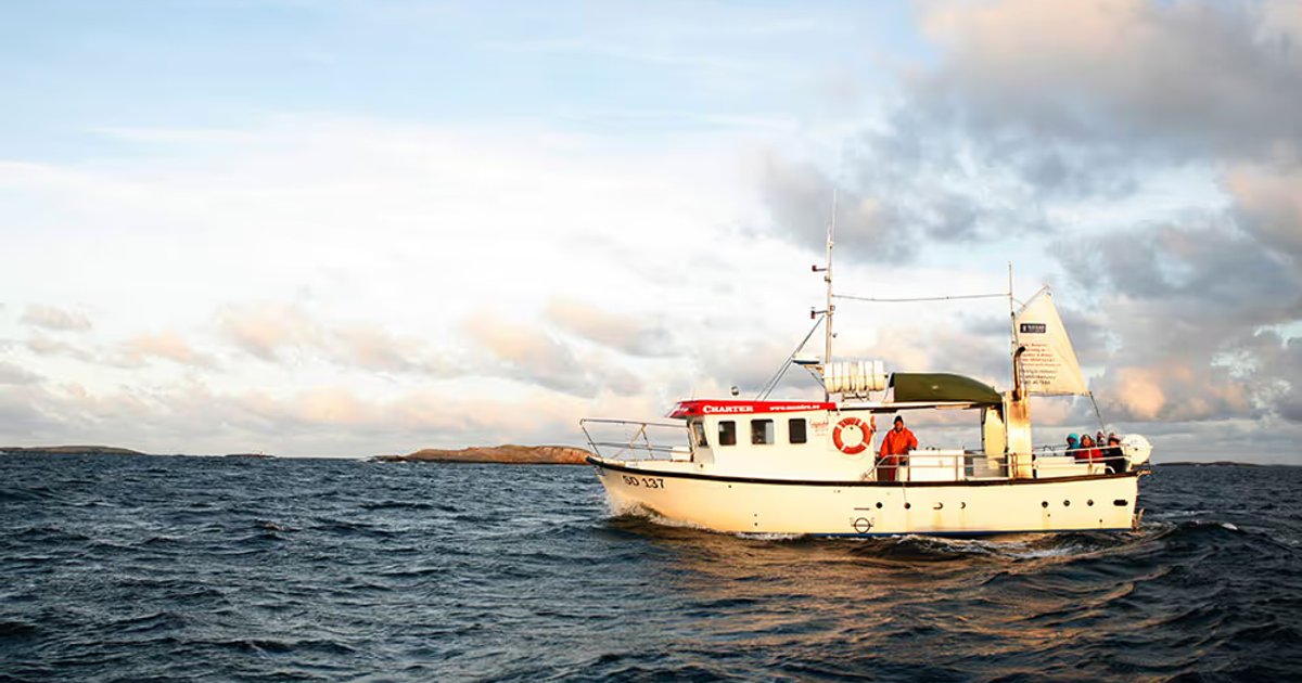 M/S Mira