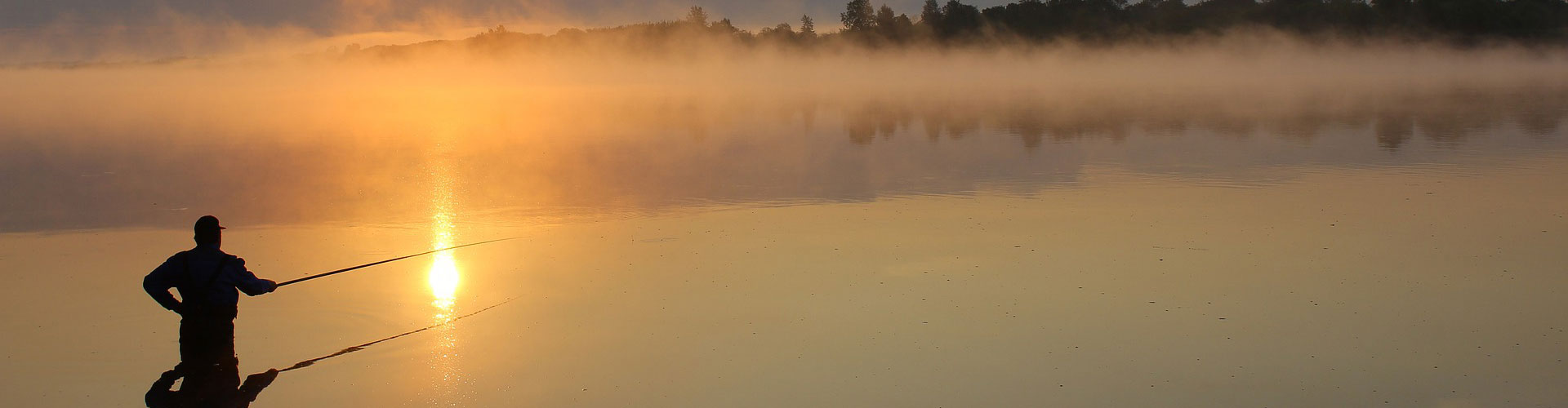 Fiska i Trollhättan