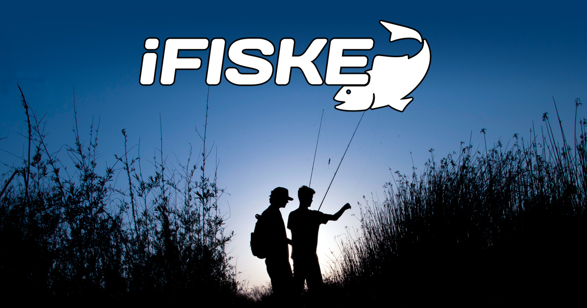 Fiske i Tidaholms centrum