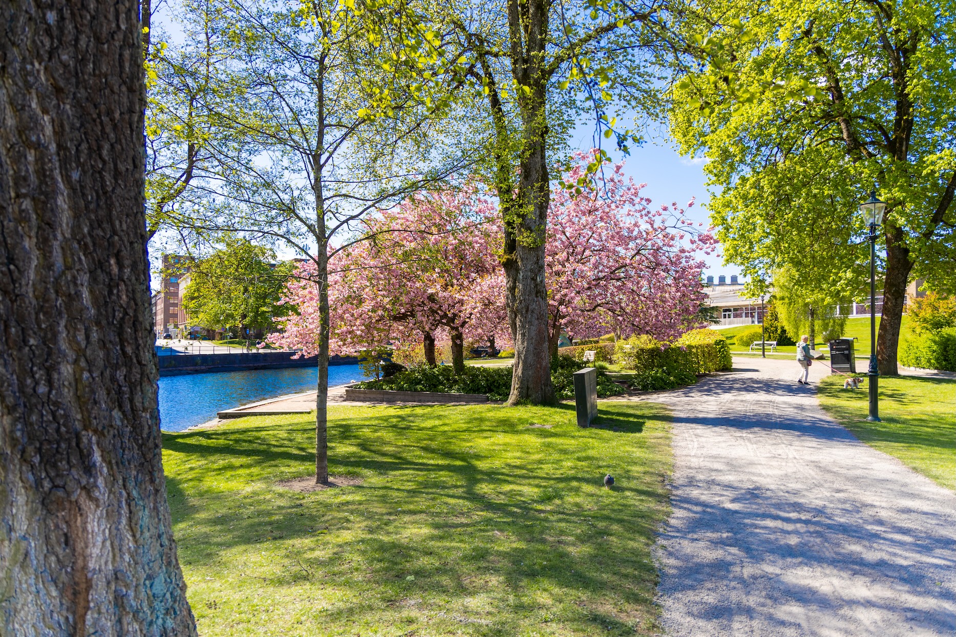 Kolbränningen/Byttorpssjön