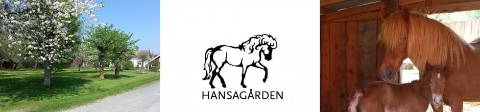 Hansagården Islandshästar