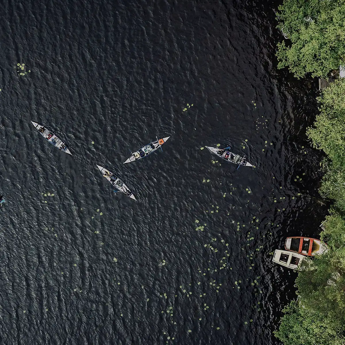 Paddla kanot i Torskabotten och Ömmern