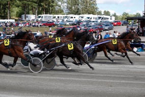 Åmålstravet