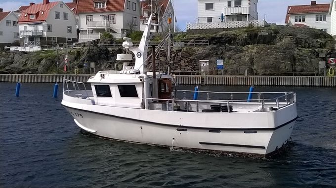 Hajen fiskecharter