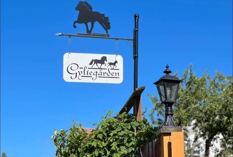 Gyltegårdens Islandshästar
