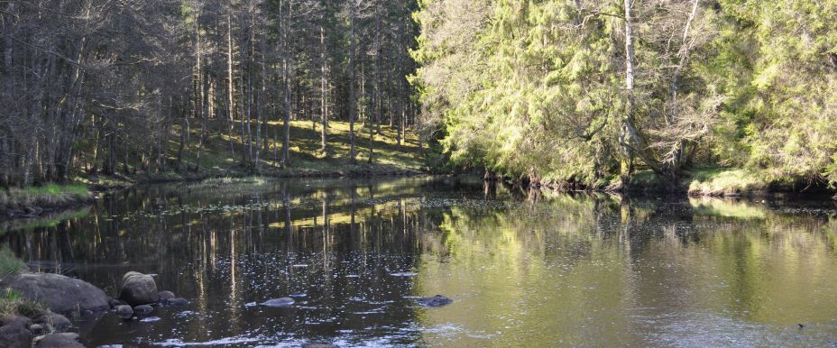 FVO Dalstorpasjön