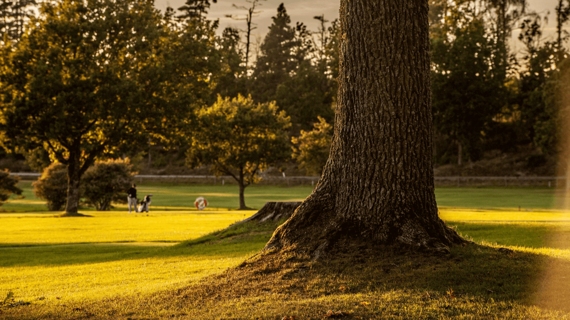 Koberg Golfklubb